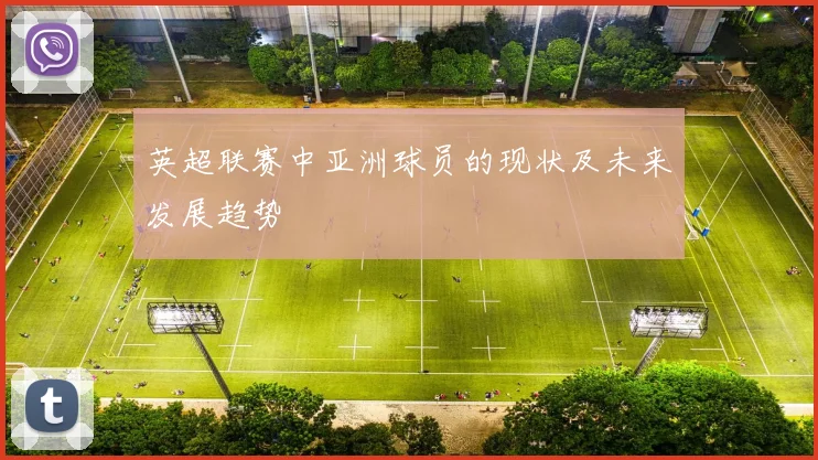 英超联赛中亚洲球员的现状及未来发展趋势